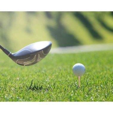 Juvale 300 Pack Tall Wooden 2-3/4 Long Bamboo Golf Tees for Golfing Practice, Sports Tournaments (2.75 In). View a larger version of this product image.