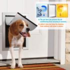 Alternate image 1 for Ownpets Pet Dogs Large Metal Magnetic Locking Single-Flap Door