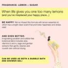 Alternate image 3 for Not Soap, Radio When Life Gives You One Too Many Lemons   Happiness and Joy Inducing Lemon + Sugar