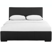 Camden Isle Hindes Black Queen Platform Bed