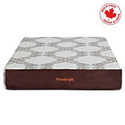 ViscoLogic   Dream  - Made in Canada - 10&quot; Gel-Infused Memory Foam Mattress (Queen)