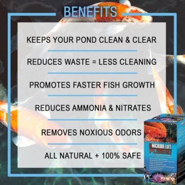 Microbe Lift 1-Pint Pond Microbe-Lift PL 10PLP, 20 lb. View a larger version of this product image.