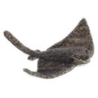 Alternate image 0 for Aurora - Destination Nation - 17" Stingray