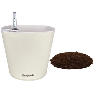Window Garden Aquaphoric Self Watering Planter (7") + Fiber Soil. View a larger version of this product image.