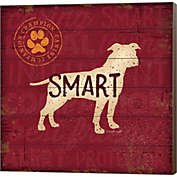 Great Art Now Smart Dog by Jennifer Pugh 24-Inch x 24-Inch Canvas Wall Art