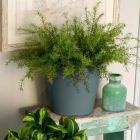 Alternate image 3 for The HC Companies Classic In/Outdoor Planter, Warm Gray, 10"