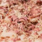 Alternate image 1 for PetsPick Kiln Dried Red Cedar Bedding for Large Animals, 41L