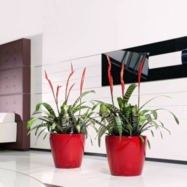 Lechuza USA 17" Glossy Gray Round Classico Planter with Water Reservoir. View a larger version of this product image.