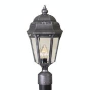 Special Lite Products Astor F3960-SW-BV Large Post Mount - Swedish Silver