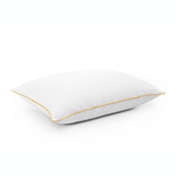 Cheer Collection Hypoallergenic Soft Toddler Pillow