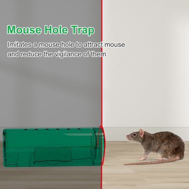 Eggracks By Global Phoenix 2Pcs Reusable Humane Mouse Trap Live Catch. View a larger version of this product image.