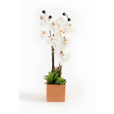 Melrose Home Decorative Potted Orchid Succulent Arrangement (Set of 2) Polyester/Plastic 20". View a larger version of this product image.