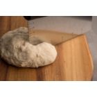 Alternate image 3 for Chef Pomodoro Multi-Purpose Pizza Dough Scraper, Stainless Steel Chopper, Heavy Duty Bench Scraper