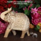 Alternate image 3 for Cottage Handicraft, Mango Wood Hand-Crafted Elephant, Small with free Elephant Gift