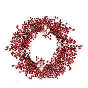 Northlight Red Berry with Frosty Accents Artificial Christmas Wreath - 18-Inch, Unlit