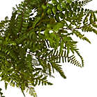 Alternate image 3 for Nearly Natural Green Mixed Fern Artificial Wreath, 24-Inch
