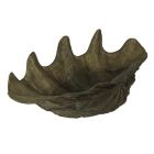 Alternate image 2 for Contrast Lifelike Cast Polyresin Giant Clam Shell Decorative Bowl