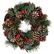 Northlight Green Mixed Foliage and Apple Artificial Christmas Wreath, 13.75-Inch, Unlit