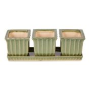 Actifo Ceramic Mini Planter Set - Green Square