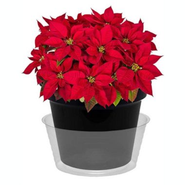 CWP L-0015 Heavy Gauge Vinyl Basket Liner, 10-Inch Diameter, Clear. View a larger version of this product image.