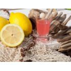 Alternate image 1 for Marine Business Break Resistant Shot Glass (Set of 6)