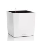 Alternate image 0 for Lechuza USA 20" White Glossy Cube Planter with Water Reservoir