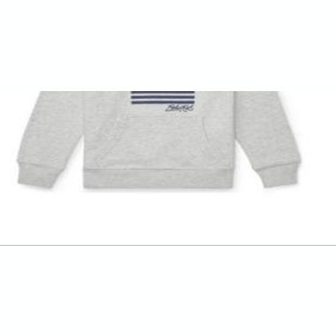 Ralph Lauren Little Boy's Embroidered Terry Cotton Hoodie Gray Size 5. View a larger version of this product image.