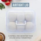 Alternate image 3 for Chef Pomodoro Dough Proofing Box, 15 x 11-Inch, Fit 4-6 Dough Balls, Household Pizza Dough Tray Kit (Blue)