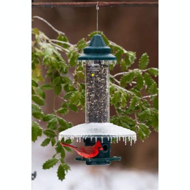 Brome Weather Guard for Squirrel Buster Plus Bird Feeder (FEEDER NOT INCLUDED). View a larger version of this product image.