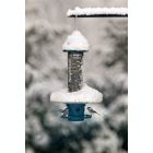 Alternate image 3 for Brome Weather Guard for Squirrel Buster Plus Bird Feeder (FEEDER NOT INCLUDED)