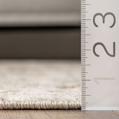 nuLOOM Freja Faded Floral Area Rug. View a larger version of this product image.