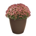 Alternate image 1 for The HC Companies Eclipse Round Planter, 16 - Chocolate