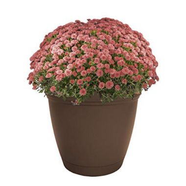 The HC Companies Eclipse Round Planter, 16 - Chocolate. View a larger version of this product image.