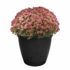 Alternate image 1 for The HC Companies Eclipse Planter w/ Attached Saucer, Slate Blue, 12