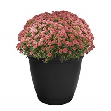 The HC Companies Eclipse Planter w/ Attached Saucer, Slate Blue, 12. View a larger version of this product image.