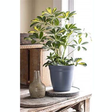The HC Companies Eclipse Planter w/ Attached Saucer, Slate Blue, 12. View a larger version of this product image.