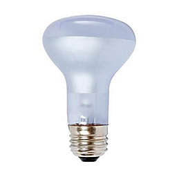 Agrosun Dayspot Incandescent Light Bulb, 60W, Pack of 1
