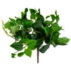 Alternate image 0 for Allstate 12" Two Tone Philodendron Artificial Floral Spray