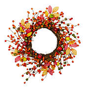 Northlight Berries and Apples Foliage Twig Artificial Thanksgiving Wreath - 18-Inch, Unlit