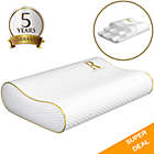 Alternate image 0 for Royal Therapy Memory Foam Pillow, Pharmonis USA, Neck Pillow Bamboo Adjustable Side Sleeper Pillow for Neck & Shoulder-Queen