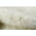 Alternate image 1 for HomeRoots 63" x 90" Off White, Polar Bear Faux Hide - Area Rug