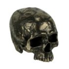 Alternate image 0 for Veronese Design Bronze Finish Craniumography Old Treasure Map On Skull Statue