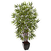 HomPlanti 5&#39; Bamboo Silk Tree w/Planter