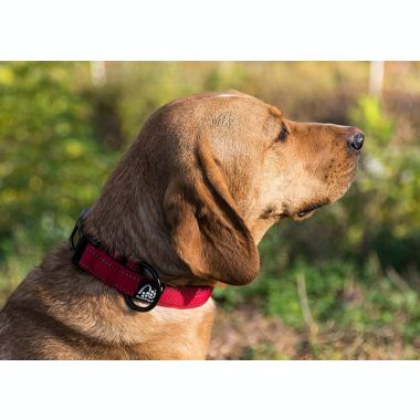 COMFAST Adjustable Dog Collars - Reflective Padded Dog Collar With Strain Relief. View a larger version of this product image.