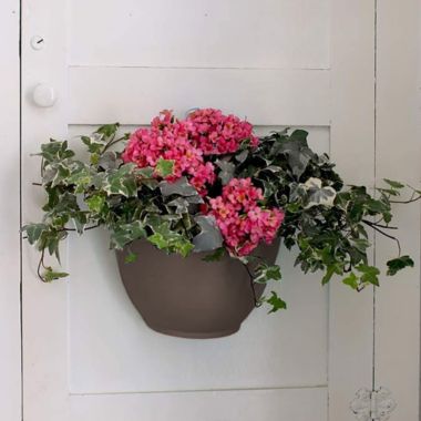The HC Companies In/Outdoor Garden Wall Planter, Cappuccino, 8 in. View a larger version of this product image.