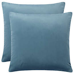PiccoCasa Pack of 2 Velvet Throw Pillow Cover, Decorative Throw Cushion Cover Luxury Euro Square Pillowcase for Sofa Couch Bed Chair, Pale Blue Green, 18