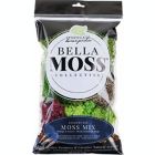 Alternate image 0 for Syndicate Home & Garden Bella Moss Mix, Assorted Colors, 80cu in