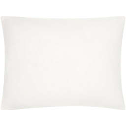 HomeRoots Home Decor. 12 x 16 Choice White Lumbar Pillow Insert.