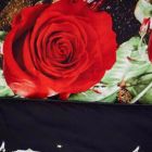 Alternate image 3 for Dolce Mela Home Decorative Duvet Cover Set, Queen Size Floral Bedding, - Night Roses Dm707Q