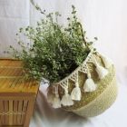 Alternate image 1 for Kitcheniva Basket Flower Pot Storage with Handle Foldable, ( XL )
